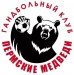 Гандбольный клуб "Пермские медведи"